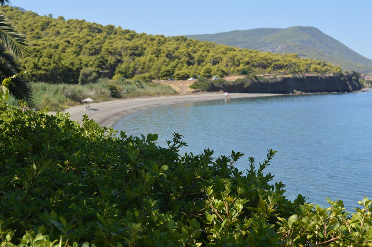 Skhoínos Rokas Village מראה חיצוני תמונה